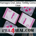 Kamagra Oral Jalea 100Mg Cómo Usar 33